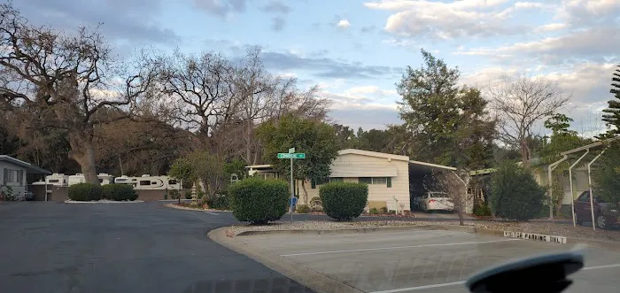 Thunderbird Oaks Mobile Home Community Picture 6