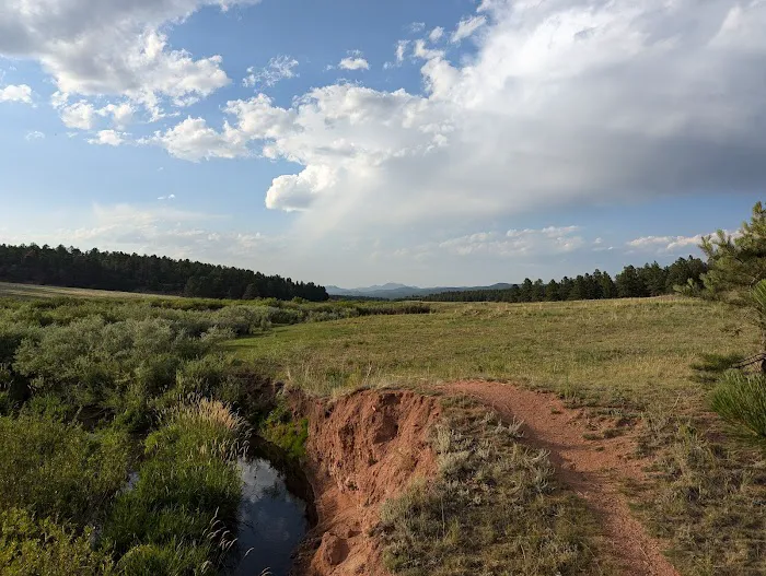 South Meadows Campground Picture 1