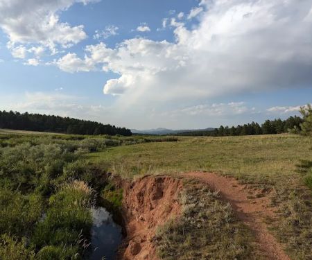 South Meadows Campground