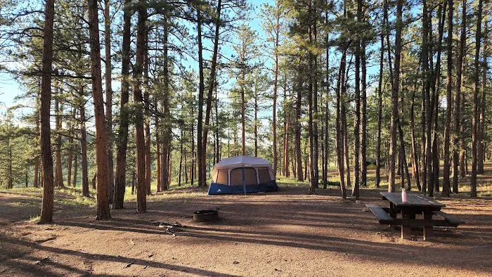 South Meadows Campground Picture 3