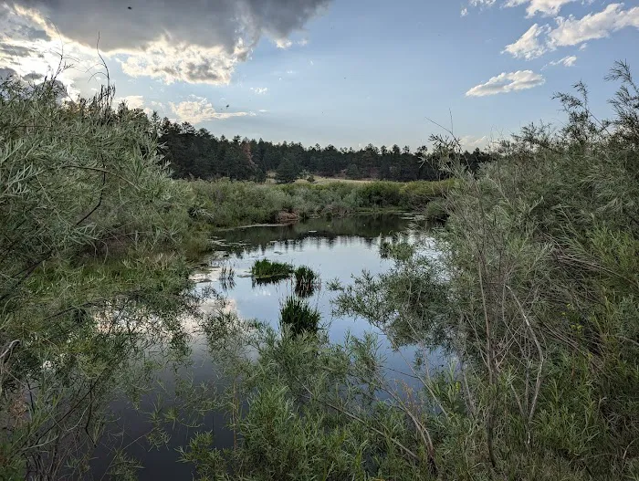 South Meadows Campground Picture 8
