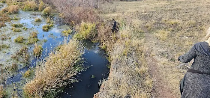 South Meadows Campground Picture 7