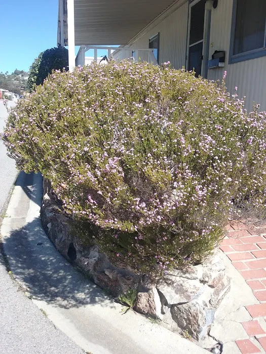 Ranch Mobile Home Park Picture 5