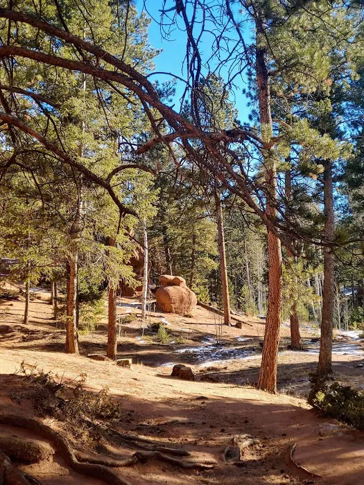 RED ROCKS GROUP CAMPGROUND Picture 2