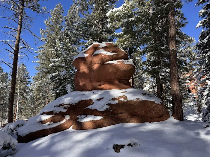 RED ROCKS GROUP CAMPGROUND Picture 3