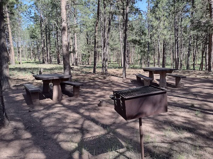 RED ROCKS GROUP CAMPGROUND Picture 7