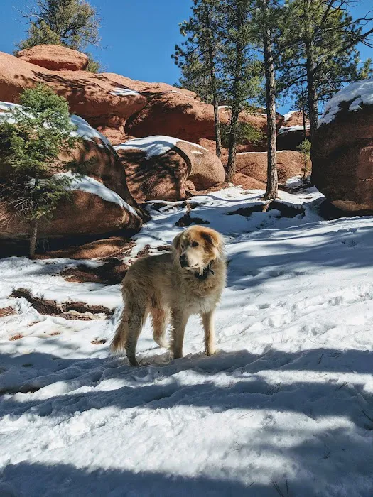 RED ROCKS GROUP CAMPGROUND Picture 9