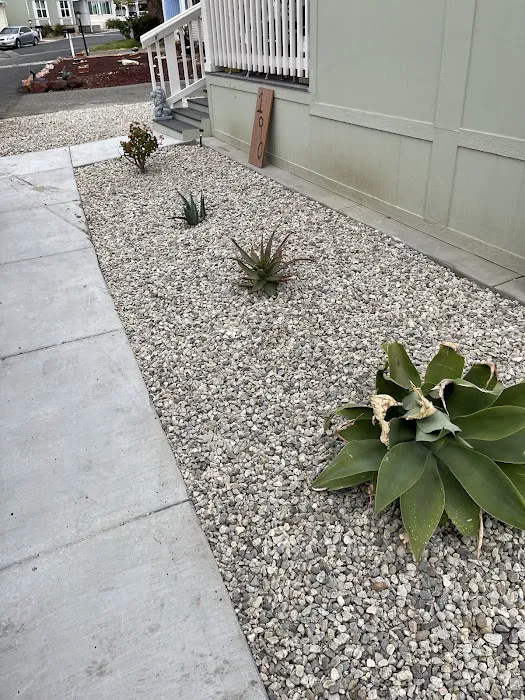 Simi Country Mobile Home Estates Picture 9