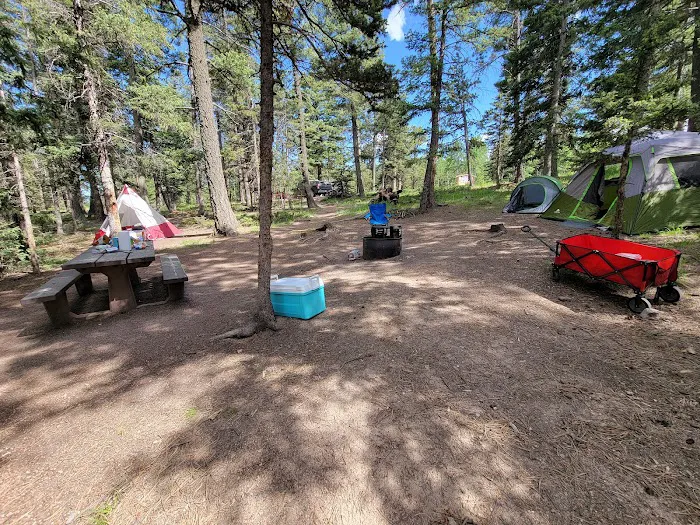 Springdale Campground Picture 1