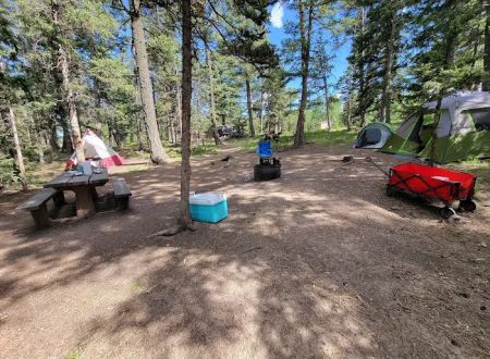 Springdale Campground