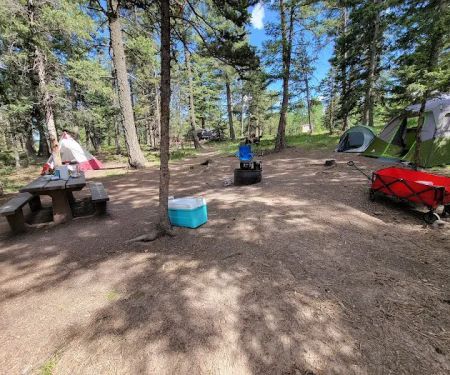 Springdale Campground