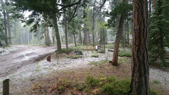 Springdale Campground Picture 5