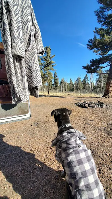 Dispersed Campground Picture 3