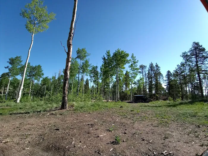 Dispersed Campground Picture 5