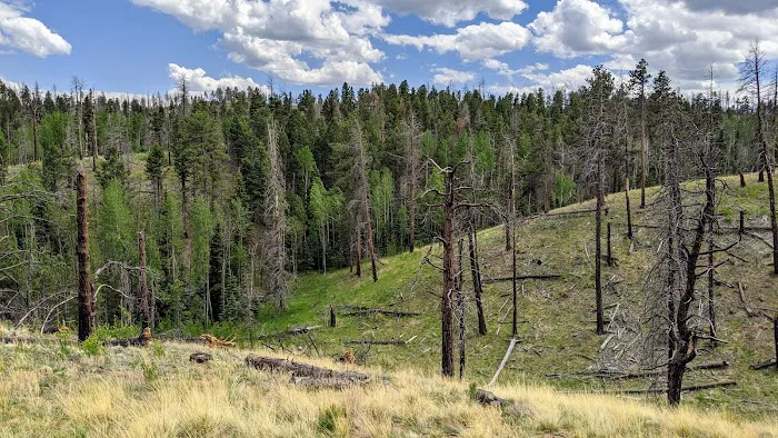 MEADOW RIDGE Picture 5