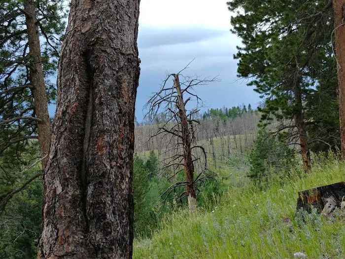 Thunder Ridge Campground Picture 5