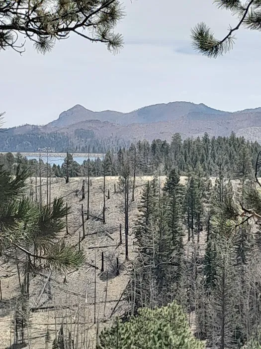 Thunder Ridge Campground Picture 4