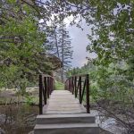 Spruce Grove Campground