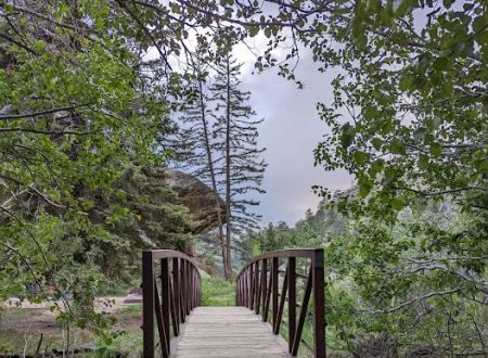Spruce Grove Campground