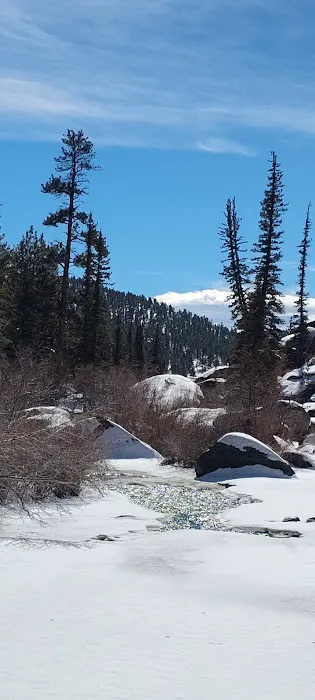 Spruce Grove Campground Picture 7