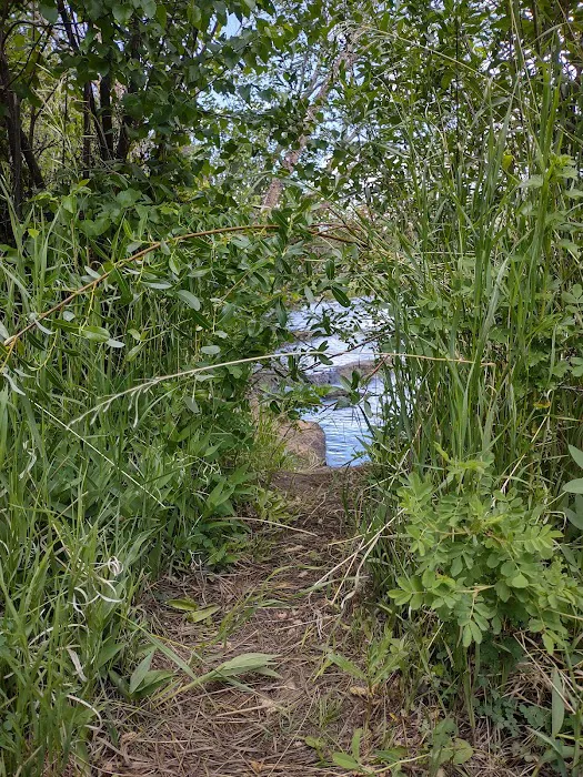 Spruce Grove Campground Picture 9