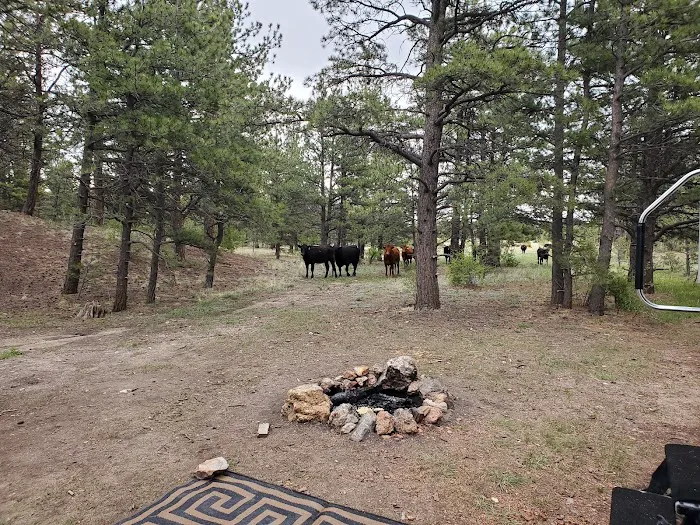 Badger Flats Campsite Picture 1