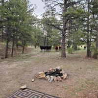 Badger Flats Campsite ico