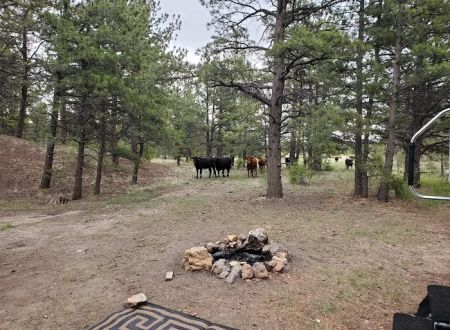 Badger Flats Campsite