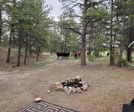 Badger Flats Campsite