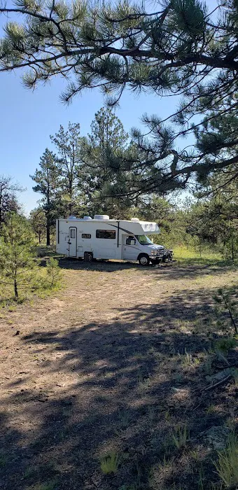 Badger Flats Campsite Picture 8