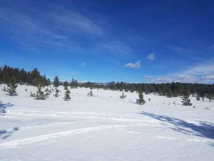 Badger Flats Campsite Picture 5