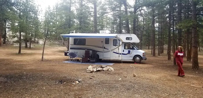 Badger Flats Campsite Picture 7