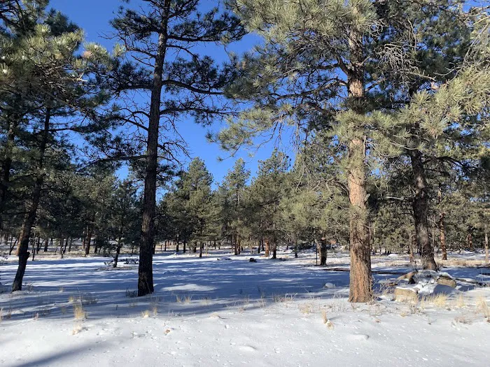 Round Mountain Campground Picture 3
