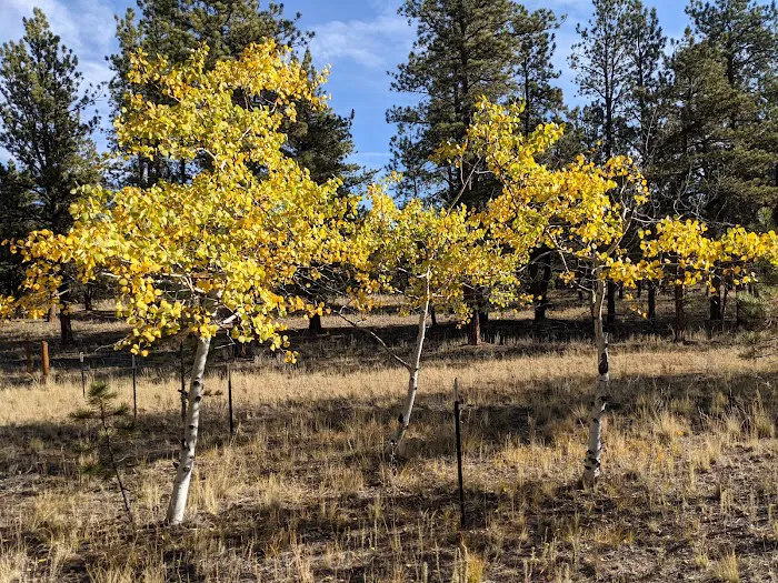 Round Mountain Campground Picture 9