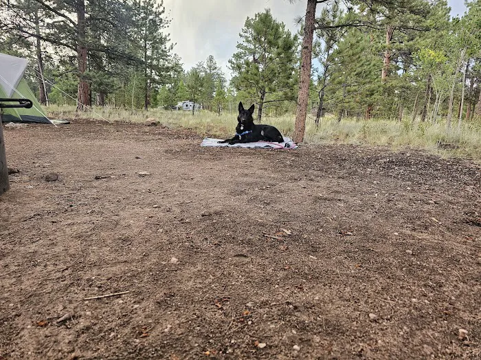 Round Mountain Campground Picture 6