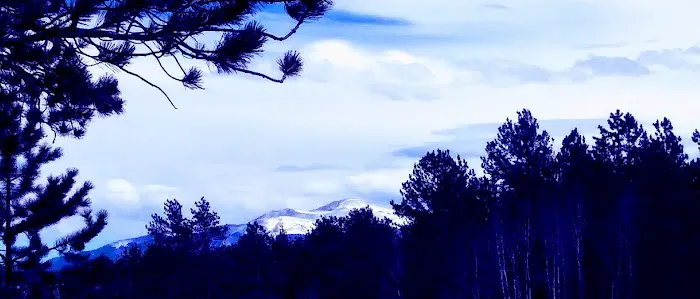 Round Mountain Campground Picture 5