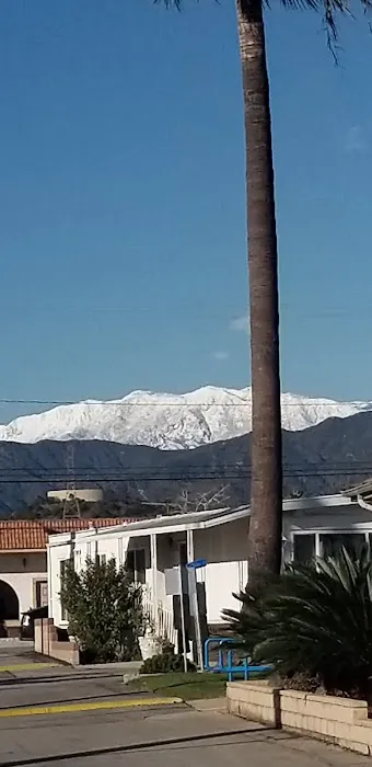 Royal Palms Mobile Home Park Picture 10
