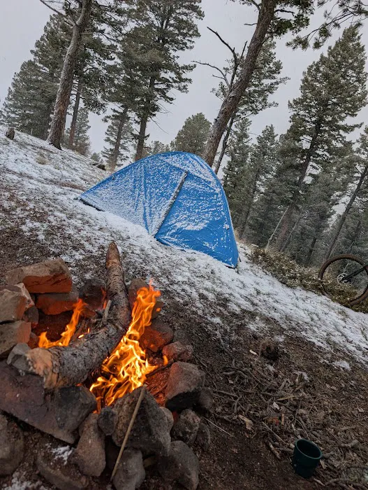 Boondock Camping Picture 6