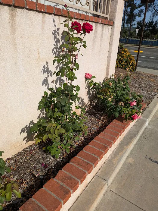 Charter Oak Mobile Home Estates Picture 3