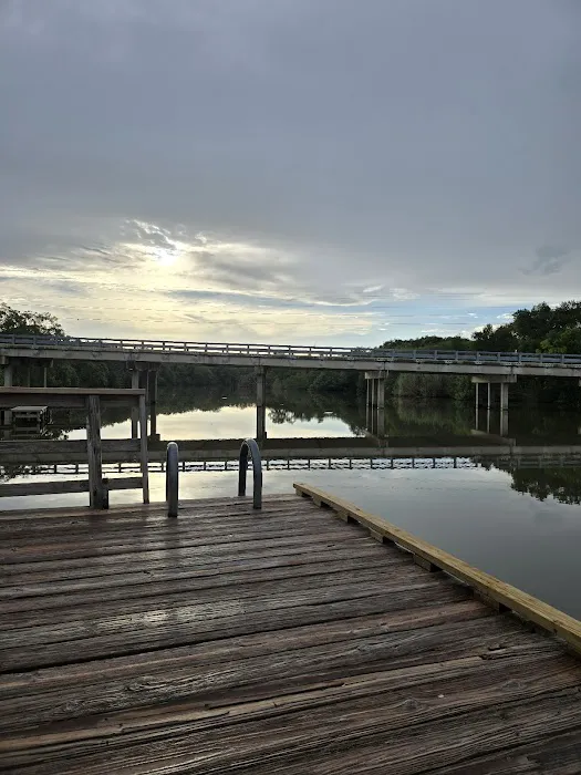 Palmetto State Park Tent Campground Picture 4
