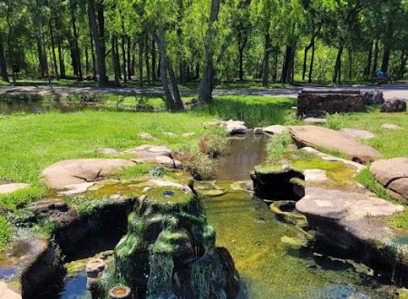 Palmetto State Park Tent Campground
