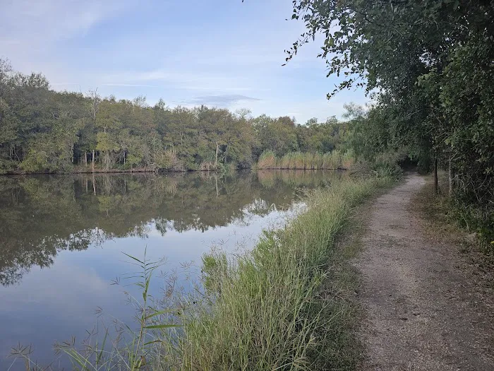 Palmetto State Park RV Campground Picture 8