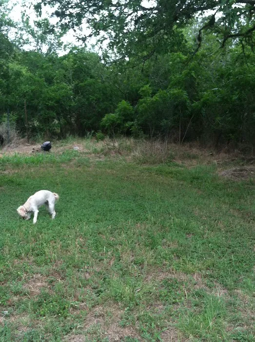 Twisted Oaks camp Picture 3
