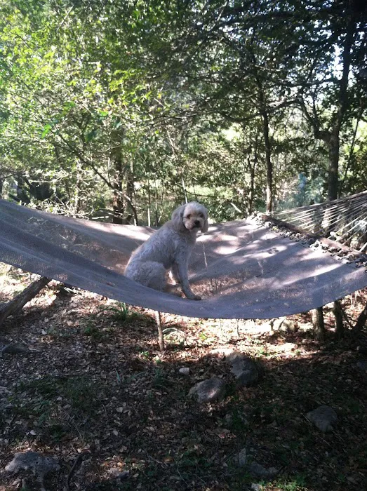 Twisted Oaks camp Picture 6