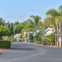 Springdale Estates ico