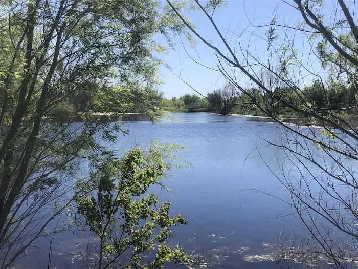 Melvin’s Pond & Camp Picture 6