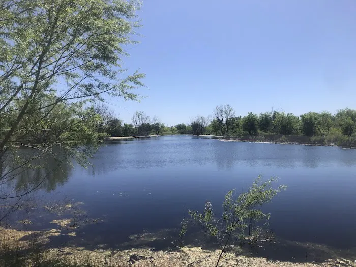 Melvin’s Pond & Camp Picture 9