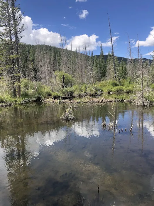 Beaver Ponds Picnic Area Picture 1