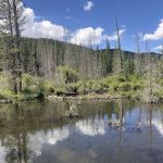 Beaver Ponds Picnic Area