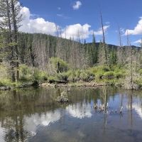 Beaver Ponds Picnic Area ico